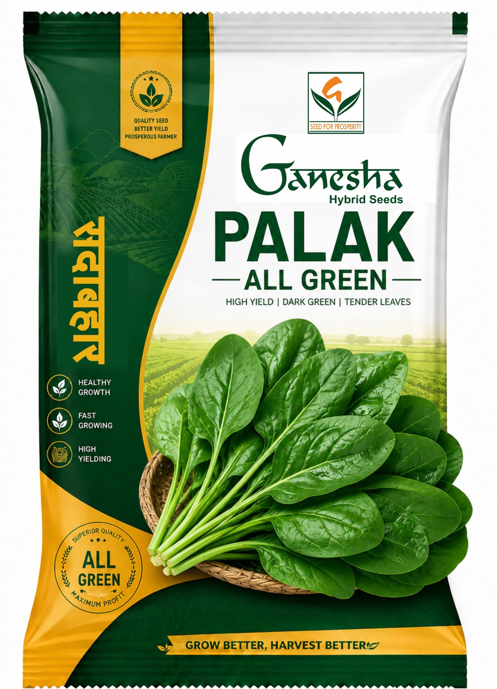 Ganesha Seeds