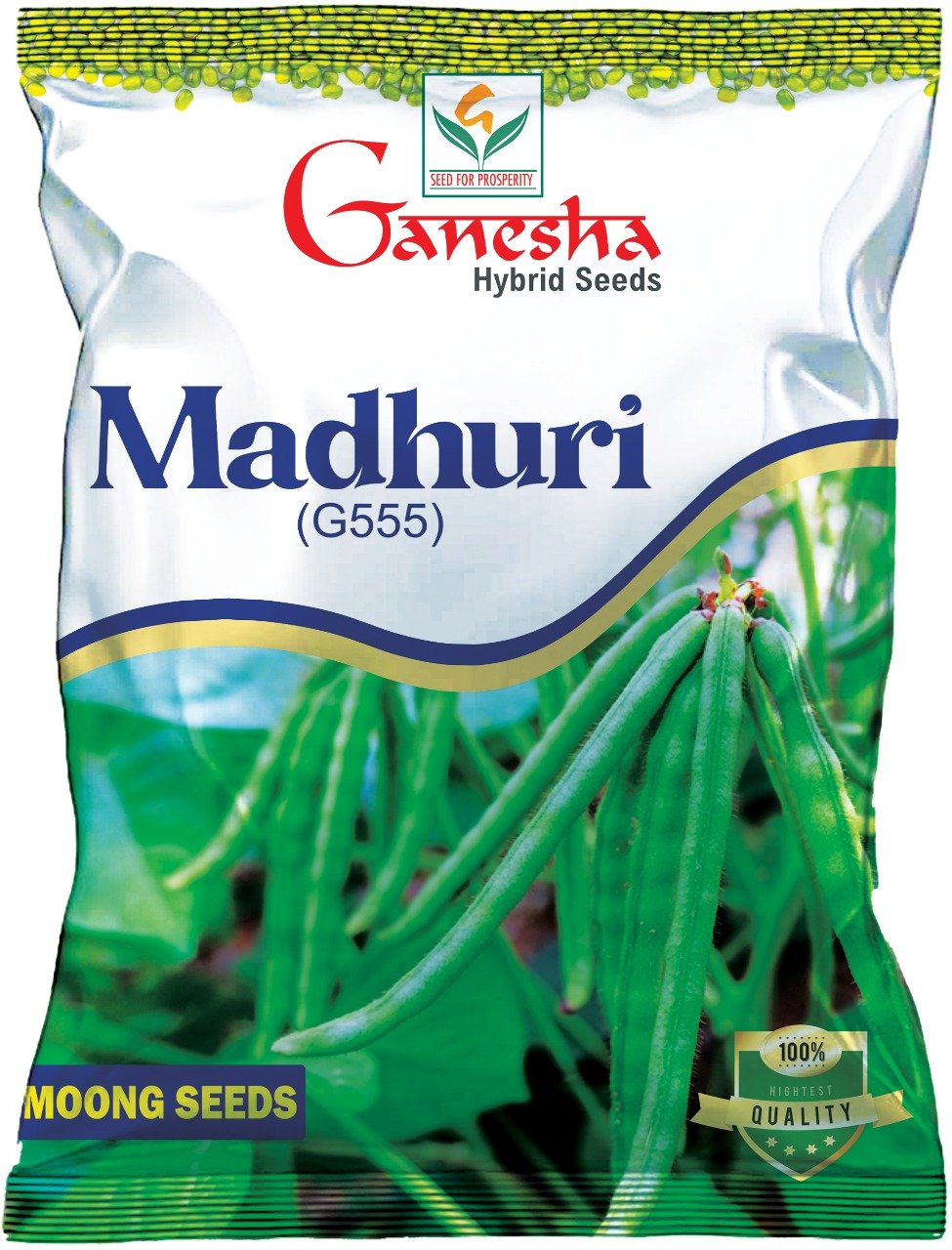 Ganesha Seeds (11)