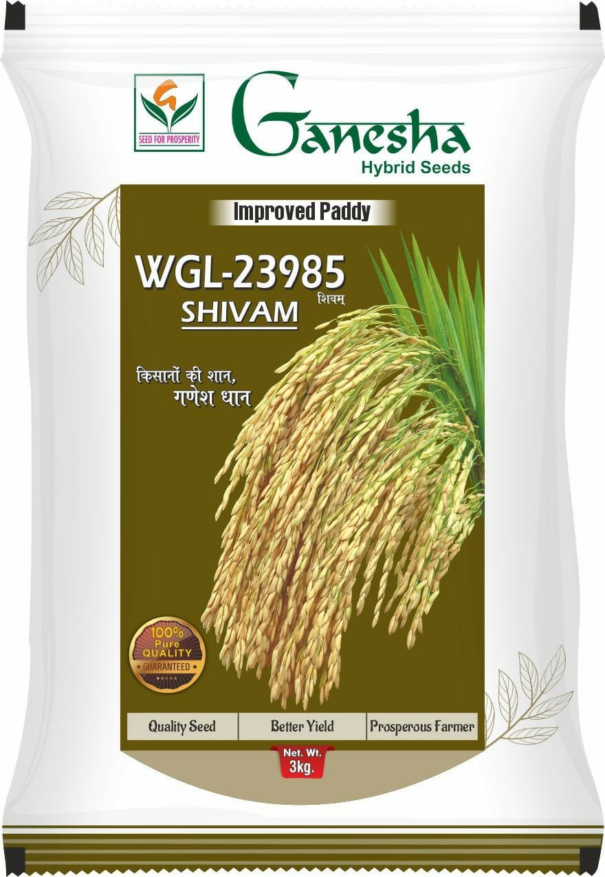 Ganesha Seeds (19)