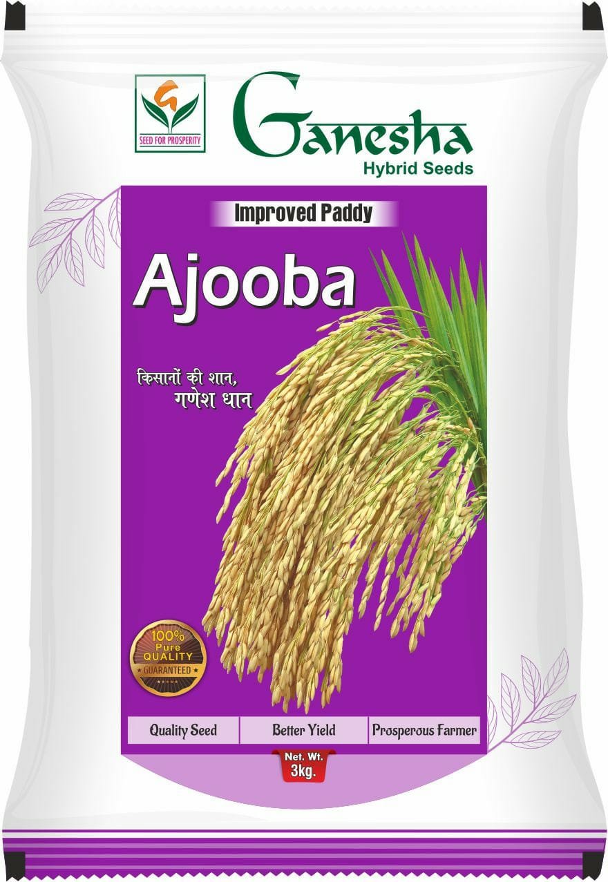 Ganesha Seeds (20)