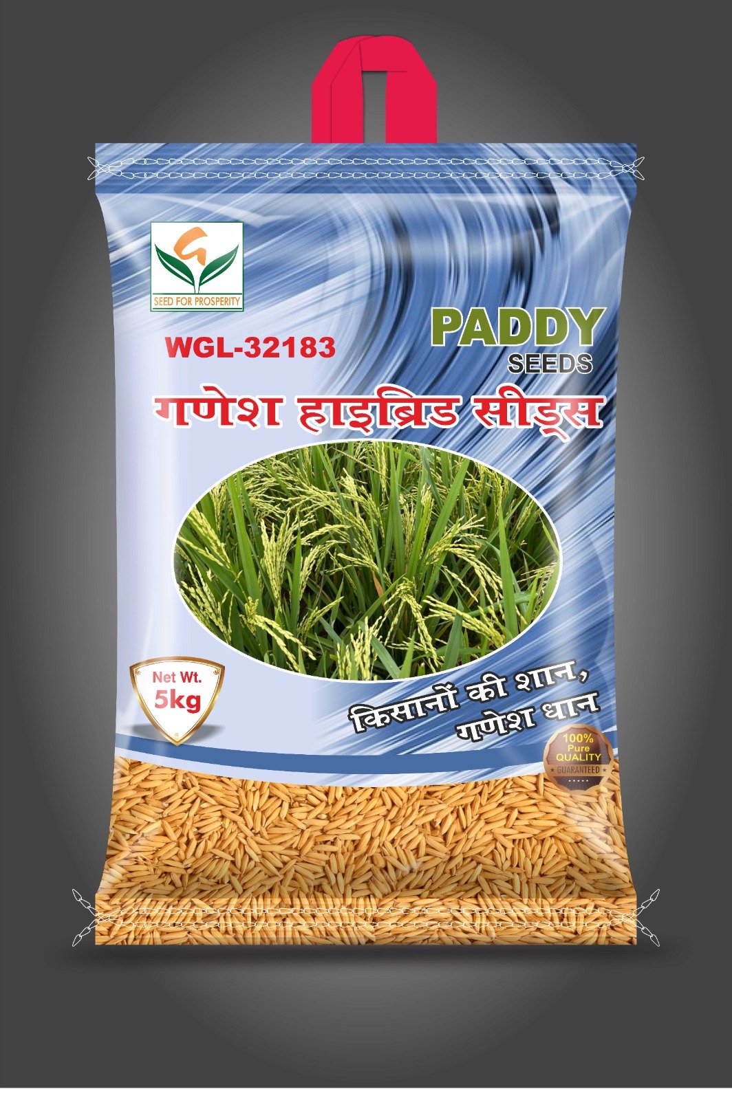 Ganesha Seeds (9)