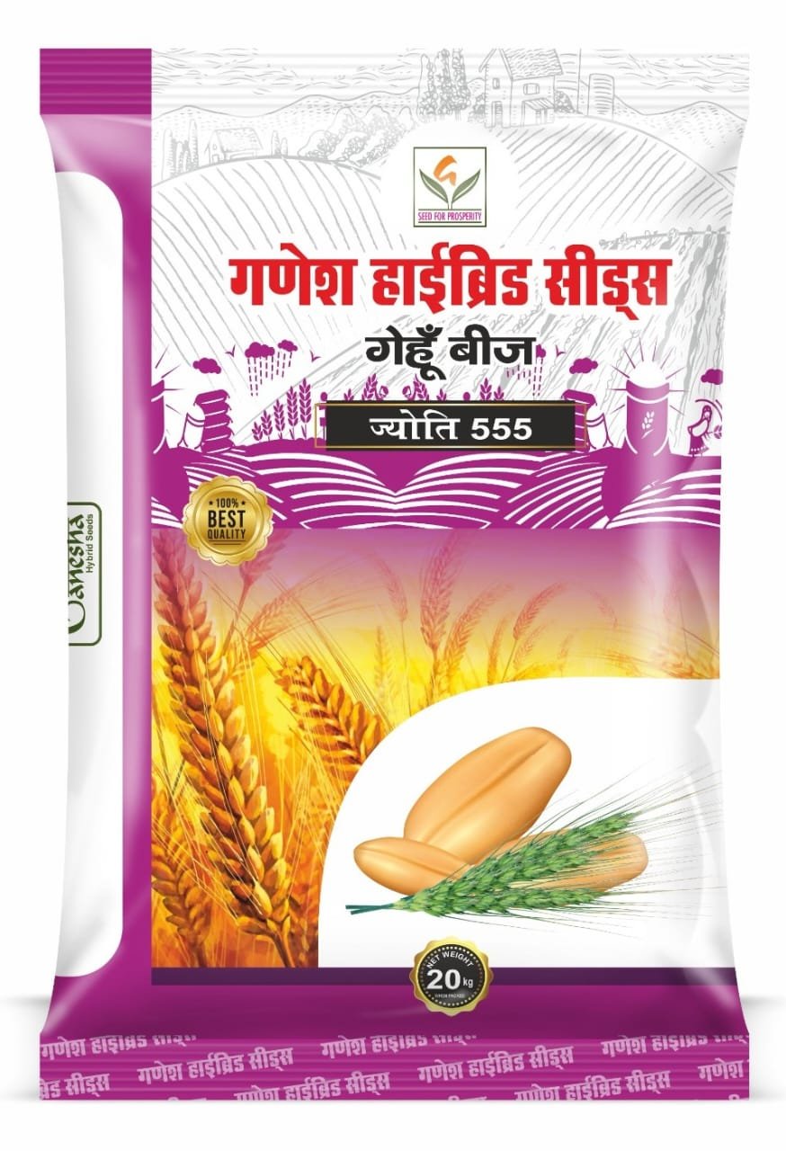 Ganesha Seeds (10)